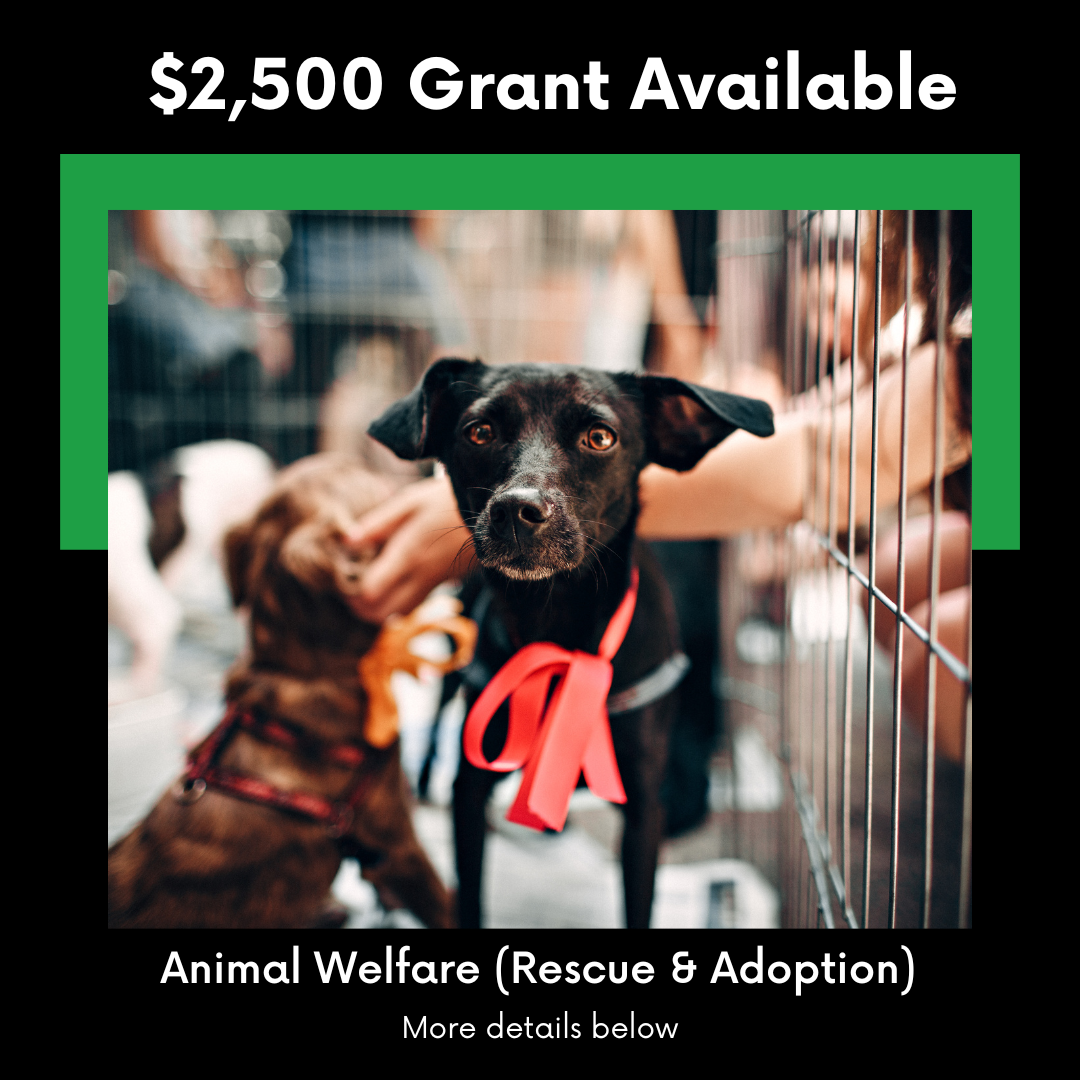 Animal Welfare (Rescue & Adoption) | KSTB Shop